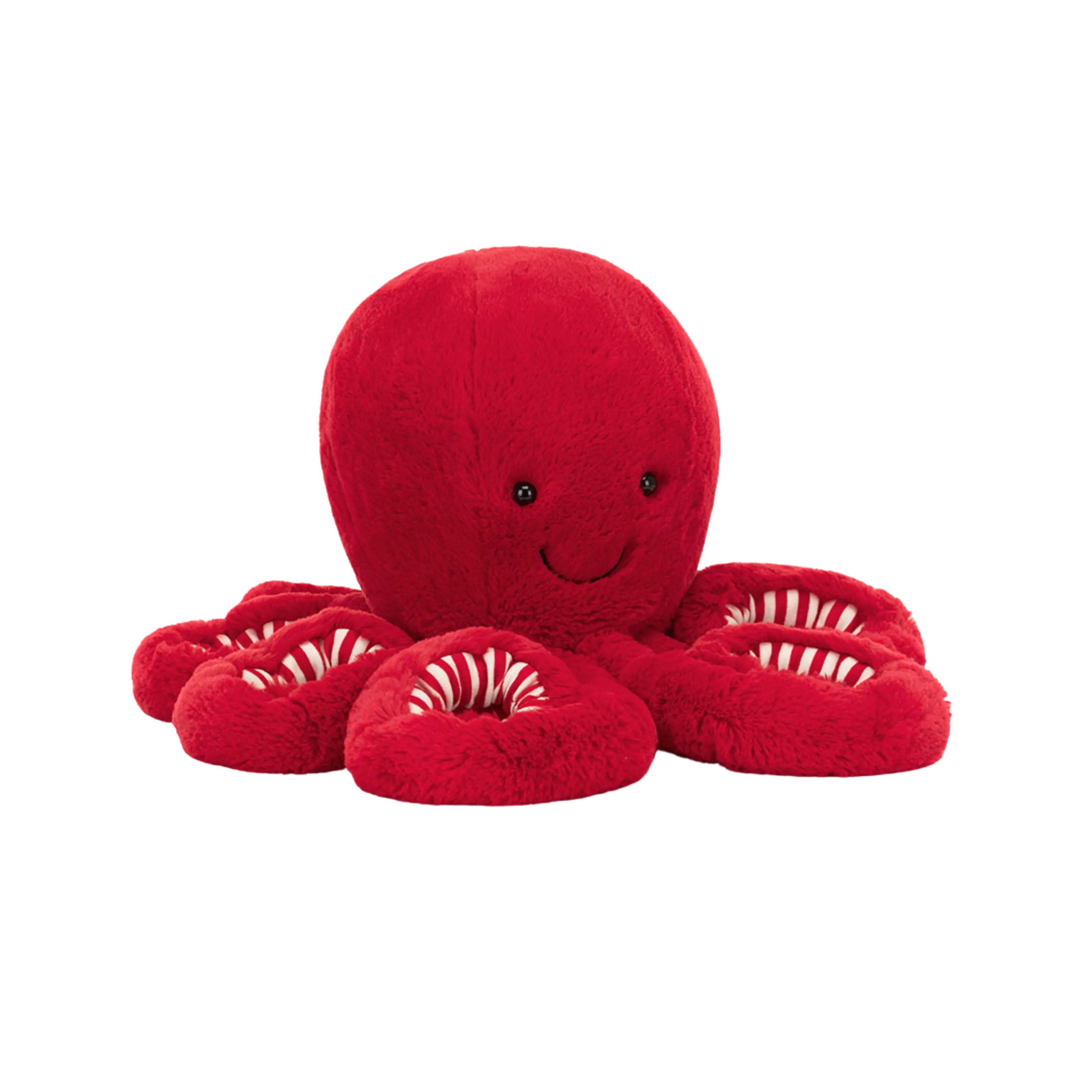 Cranberry Octopus