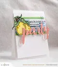 Fruity Colors Enamel Dots