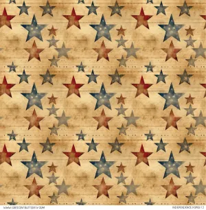 Independence Paper 12 Pattern Vinyl Sheet/Wrap
