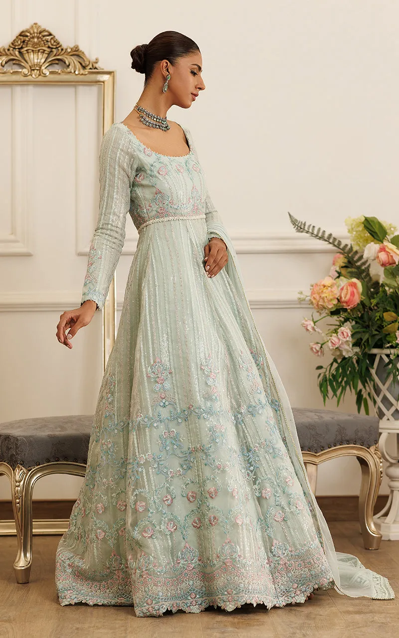 Organza Embroidered Maxi