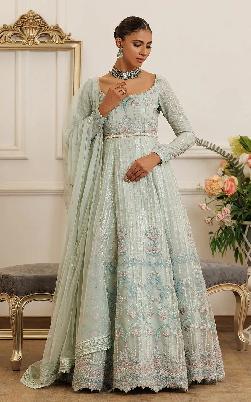 Organza Embroidered Maxi
