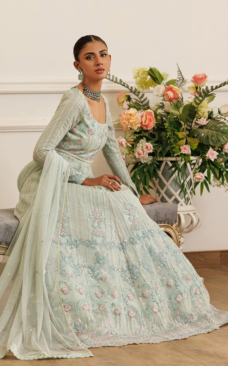 Organza Embroidered Maxi