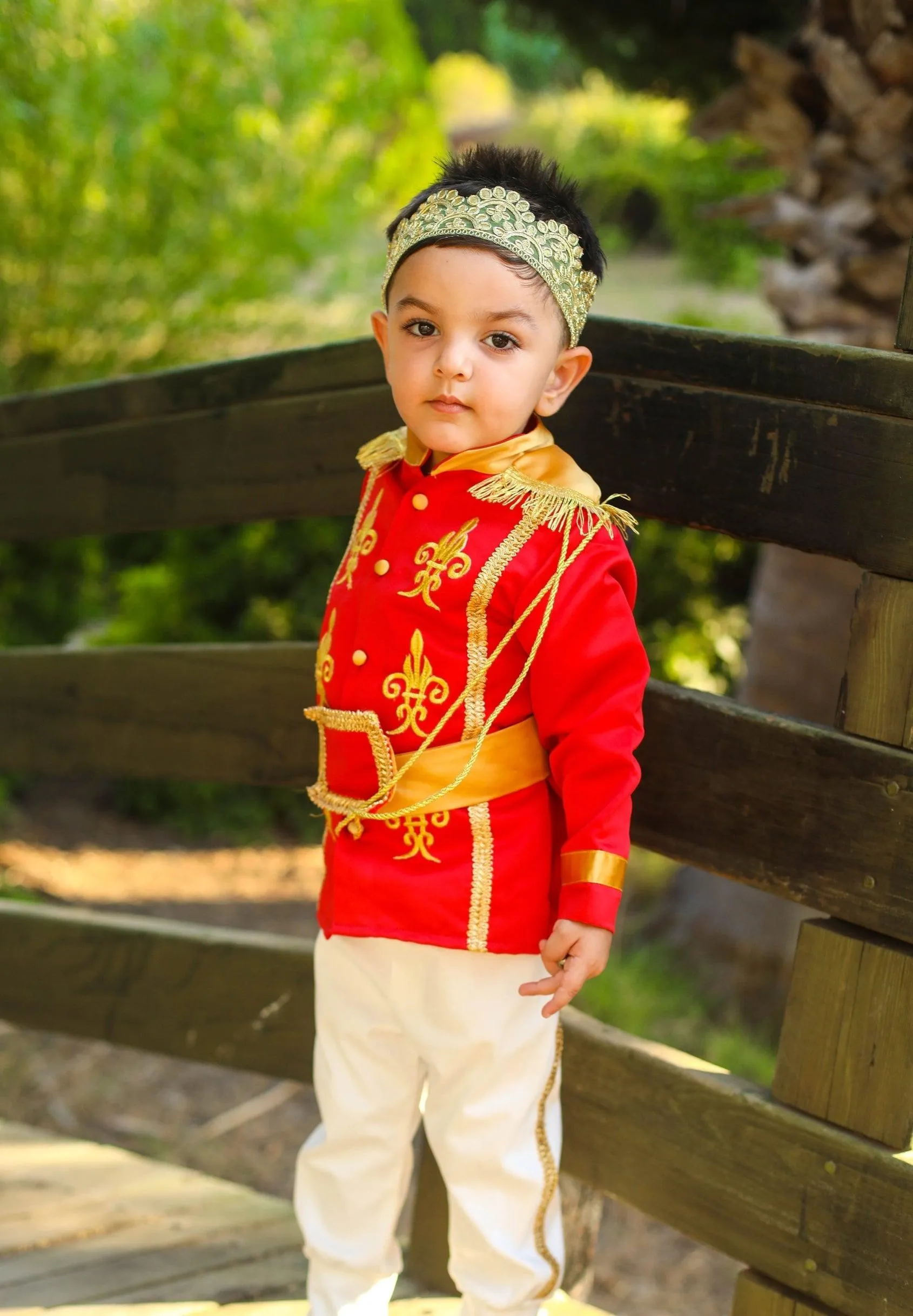 Prince charming costume red