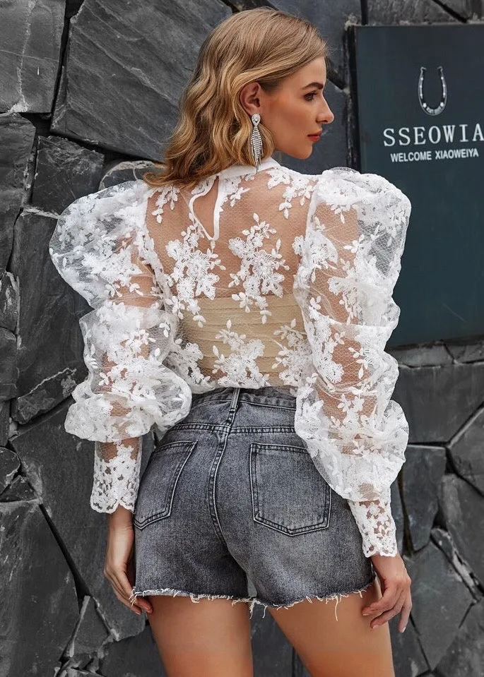 Tie Neck Lantern Sleeve Embroidered Mesh Blouse